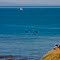 View toward Dungeness Spit and Olympic Mtns from Iceberg Pt