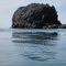 Castle Island, south coast of Lopez Island