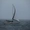 Sailing in the Strait