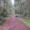 Trail to Iceberg Point, Lopez Island, WA