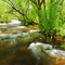 Eldorado prairie stream