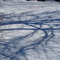 Winter Shadows