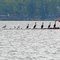 Portage Lake: gulls and cormorants on log