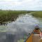 Sturgeon Sloughs