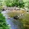 Pilgrim River