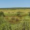 Sturgeon River Slough The Sturgeon River Slough begins 1 mile south of Chassell. These huge wetlands are the headwaters of the mighty Sturgeon River that roams throughout the central Upper Peninsula.  The slough has been developed with the aid of many wild