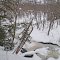 Pilgrim River in winter