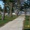 Oak Grove Cemetary looking North