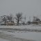 Frequent sight along the ND roads, old school buses.