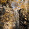 Clifton Gorge