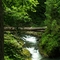 Clifton Gorge Rapids