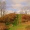 Adena Mound in the Fall