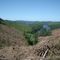 Oregon. Behind the "cosmetic curtain" shielding sensitive motorists from the devastation along U.S. 101, rampant clearcutting mows down our forests, as here along the southern shores of Tankenitch Lake.