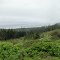 Winchester Bay, Or