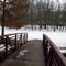 Stubbs Hill Regional Park