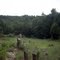 Goat Hill Serpentine Barrens