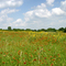 Erwin Park, Texas