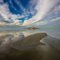 great salt lake sandbar & antelope island