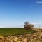 On The Way To Caprock Canyon State Park