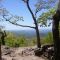 Springer Mountain Summit