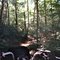 Whissenhunt ATV Trails