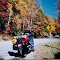 Georgia. Wolf Pen Gap Rd, near Suches, GA, oct 2000.