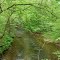 Nimblewill Creek where it runs beneath SF Rd 28-1.