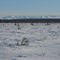 Coal Creek Headwaters Wetland