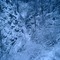 thunder bird falls frozen