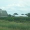 Barns near Ladd