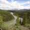 Denali Vista (on the way to Denali!)