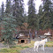 Alaska - Denali Park