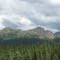 2010-07-02 - Looking NE on the George Parks Hwy