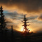 Alaska Range Dawn Near Denali National Park Entrance