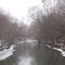 Salt Fork River near Sidney, IL