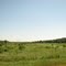 Just a big field outside Kickapoo IL