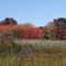 Fall colors, behind the beach