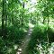 Trail View