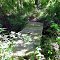 Bridge Crossing Creek