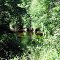 Scantic River View From Trail