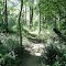 Trail Along River