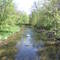 Little Rock Creek