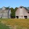 Bean Field and Barns in Somonauk