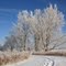 Harvey Creek Conservation Area