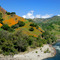 Upper Kings River - Fresno CA