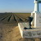 Farmland and Irrigation Structure (View North)