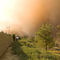 Yorba Linda and Anaheim Hills' 2008 Nov. Fires