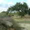 Olinda 5 May 2007