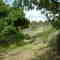 Lions Mtwy, 5 May 2007