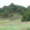 Boyscout Camp, 5 May 2007